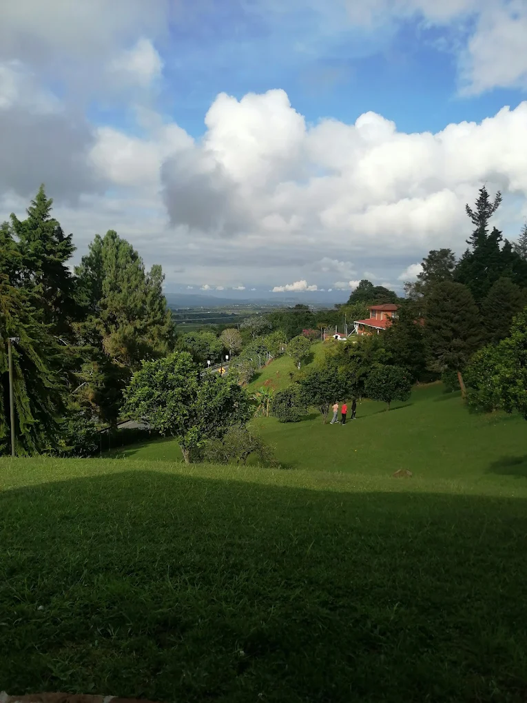 Aprender en comunidad